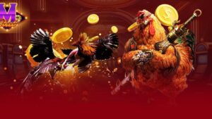 Lịch Đá Gà Thomo: Tất Tần Tật Những Thông Tin Quan Trọng Bạn Cần Biết