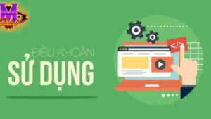 Điều KHOẢN DỊCH VỤ – QUY ĐỊNH QUAN TRỌNG NGƯỜI DÙNG CẦN BIẾT